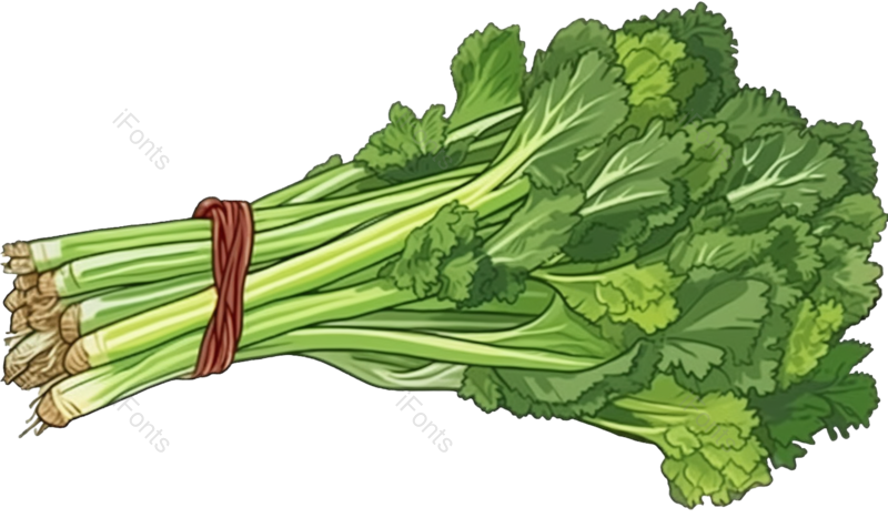 蔬菜图片,绿色蔬菜元素,植物PNG,新鲜免抠素材